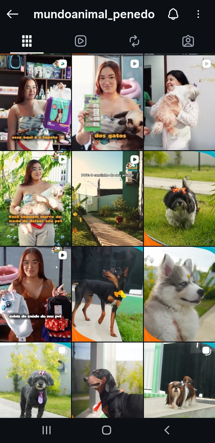 Post Instagram